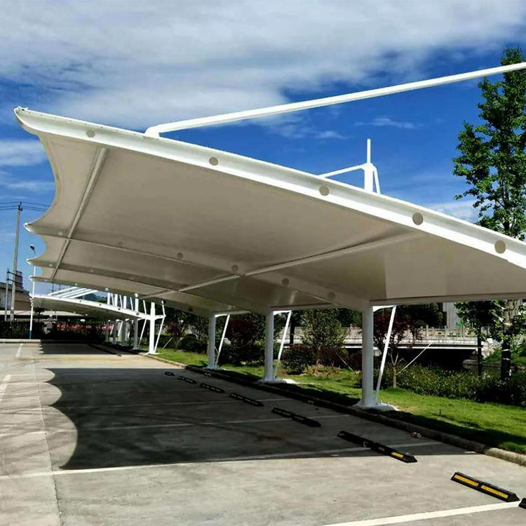 禄丰县膜结构汽车棚